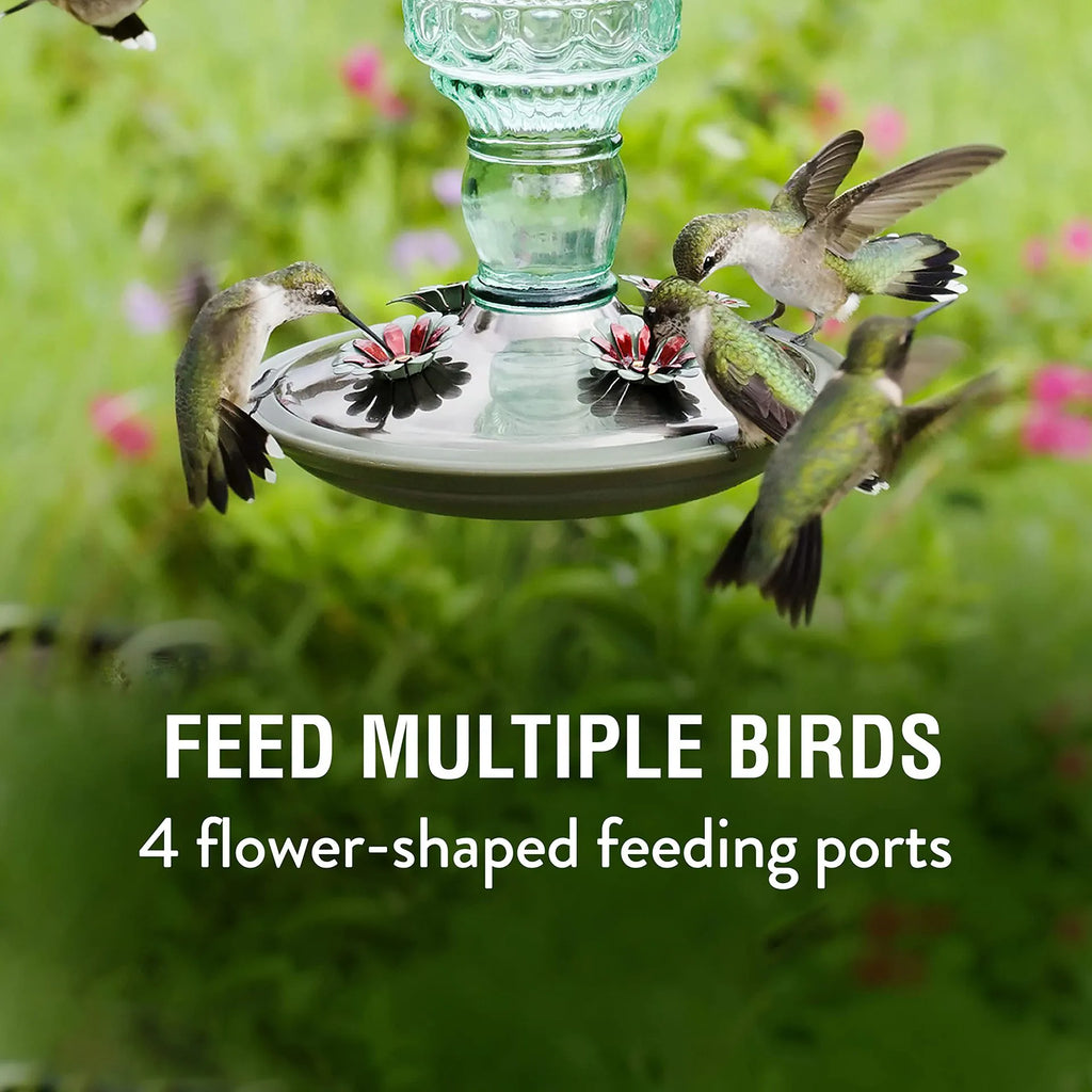🕊️ Vintage Glass Hummingbird Feeder