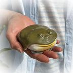 Grin & Go Frog Earbud Case