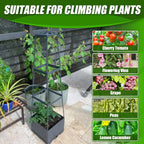 🌱Elevated Planter Box with Trellis