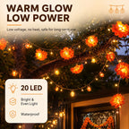 Lighted Marigold Flower String Lights - 10 ft, 20 Warm LEDs