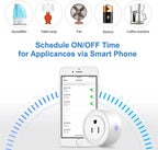 Wi-Fi Enabled Mini Smart Socket & Remote Control Outlet with Timing Function
