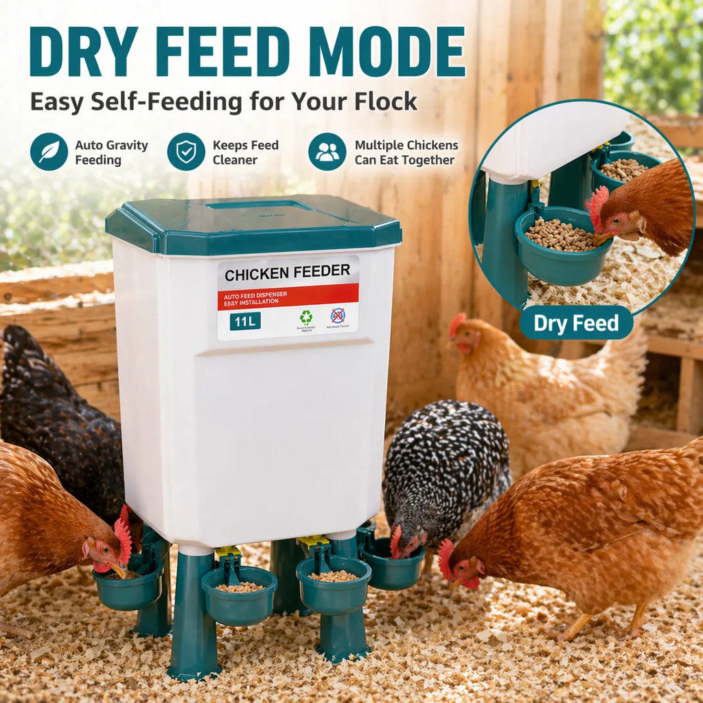 🐔 Hanging Automatic Chicken Feeding & Watering System 🔥