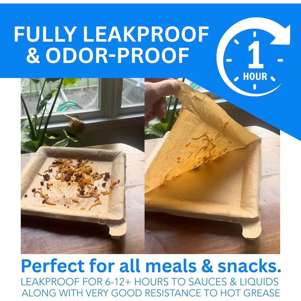 Peel-Away Disposable Dinner Plates – 24 CM Square Layered Paper Tray Set