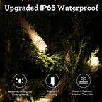 🎄 600 LED Christmas Fairy String Lights & ICY Glass Drop Ornaments