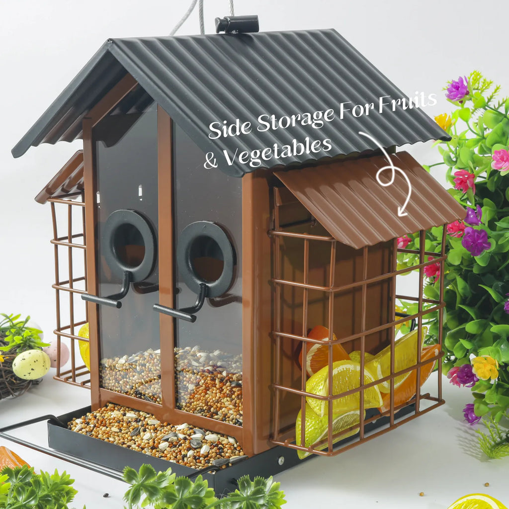 🐦 Outdoor Bird Feeder with Dual Suet Cages