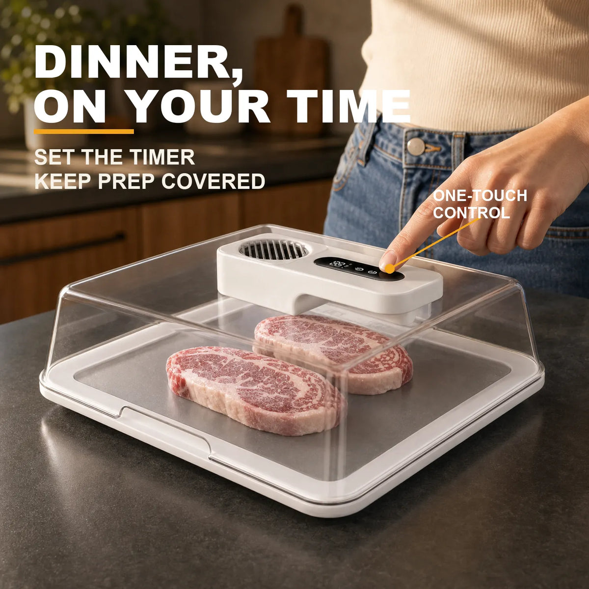 Rapid Thaw Defrosting Box with Timer