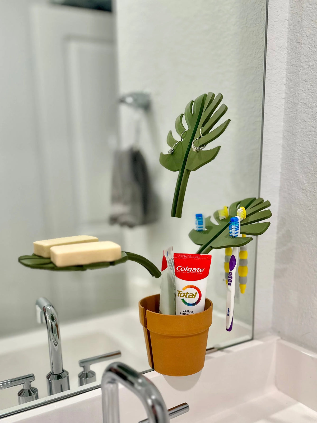 Mirror Monstera