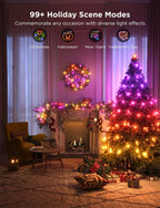 Smart String Lights  [APP & Remote Control]