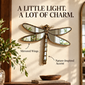 Antique bronze dragonfly mirror catching warm entryway light