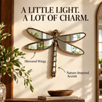 Antique bronze dragonfly mirror catching warm entryway light