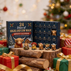 Highland cow calendar among Christmas gifts