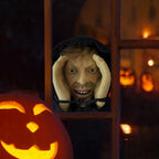 Realistic Peeping Window Halloween Prank Prop